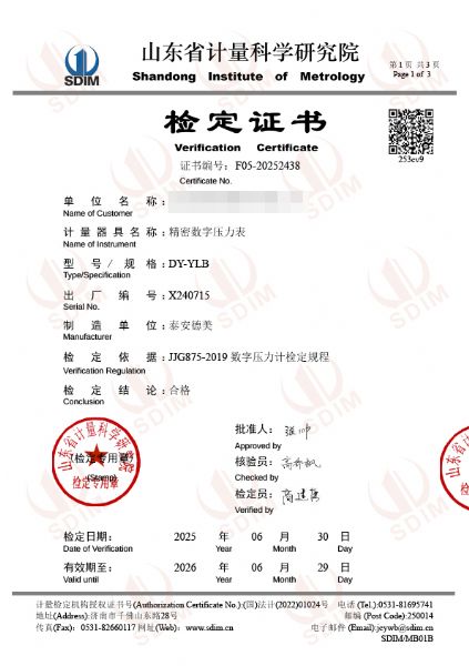 數字壓力表